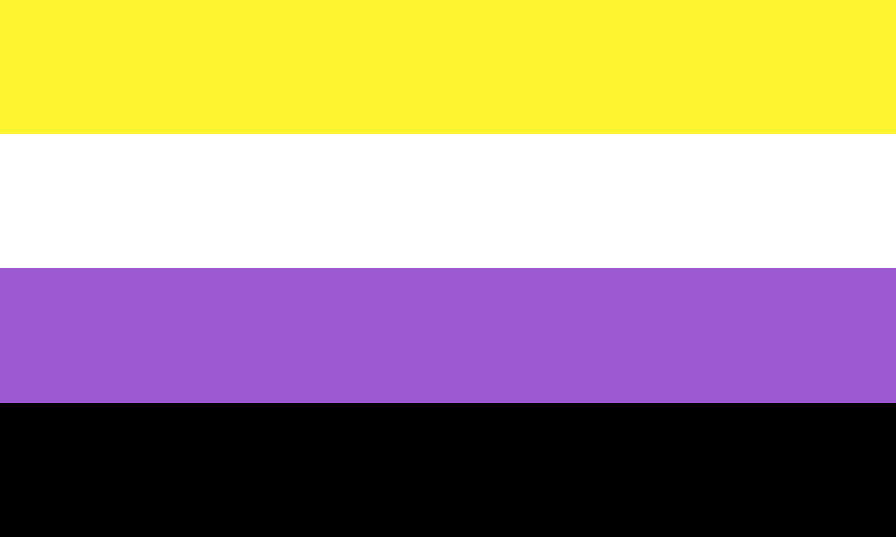 non-binary_flag