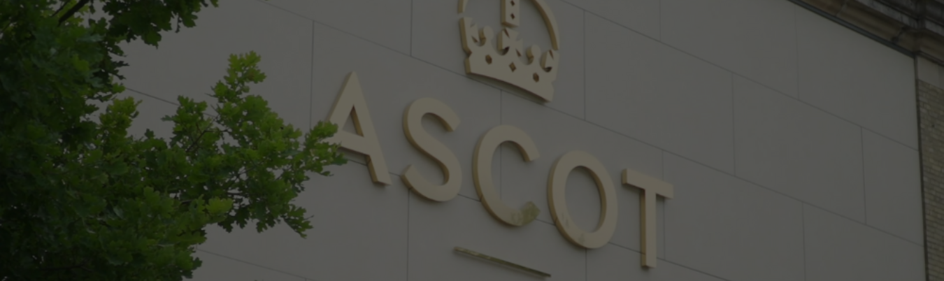 ascot_masked_hero