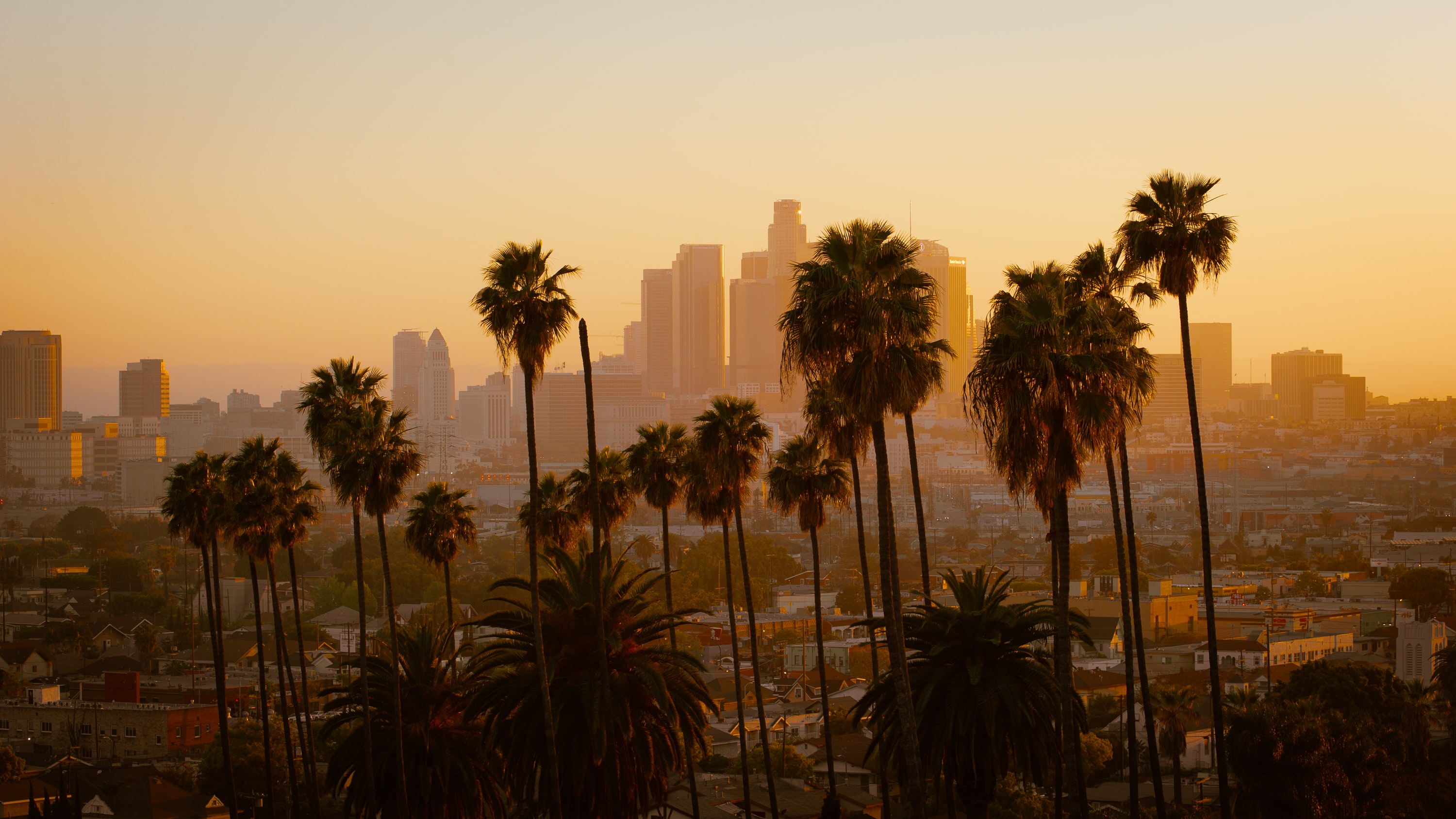 LA_Trees_Skyline_Sunrise